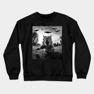 Acorn Ballet Squirrel UFO, Urban Nature Tee Extravaganza Crewneck Sweatshirt